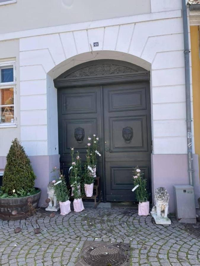 Apothekergaarden Stege Stuen Mod Gardhaven Bed and Breakfast Exteriör bild